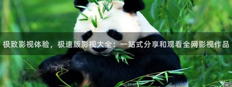 韩国影视：极致影视体验，极速版影视大全：一站式分享和观看全网影视作品
