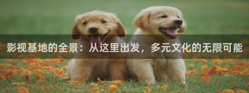 韩国影视推荐：影视基地的全景：从这里出发，多元文化的无限可能