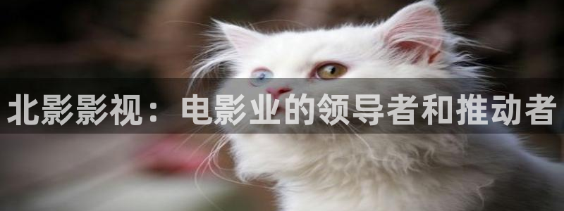 必胜韩国影视：北影影视：电影业的领导者和推动者