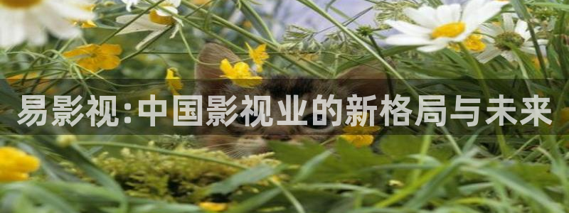 韩国影视电影：易影视:中国影视业的新格局与未来