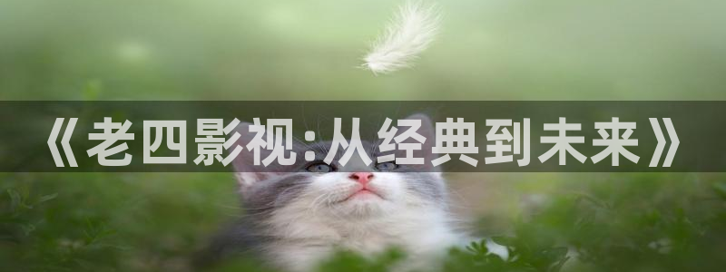 韩国影视电影：《老四影视:从经典到未来》