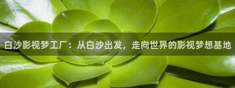 穿梭在韩国影视世界的小说：白沙影视梦工厂：从白沙出发，走向世界的影视梦想基地