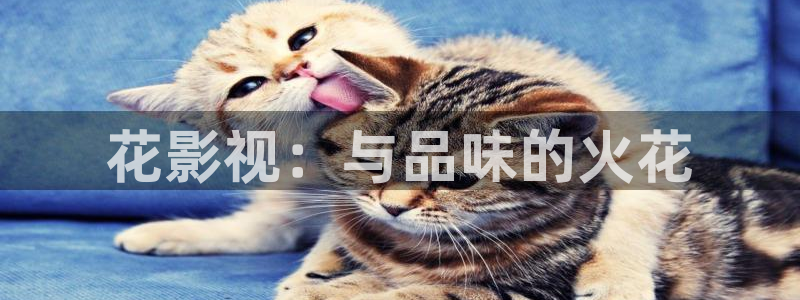 穿梭在韩国影视世界的小说：花影视：与品味的火花