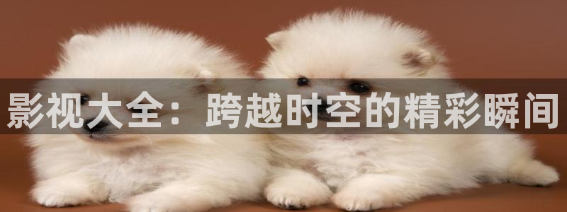 韩国影视：影视大全：跨越时空的精彩瞬间