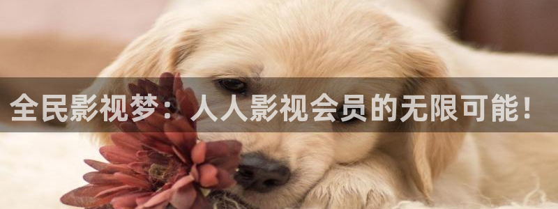 韩国影视在线免费观看：全民影视梦：人人影视会员的无限可能！