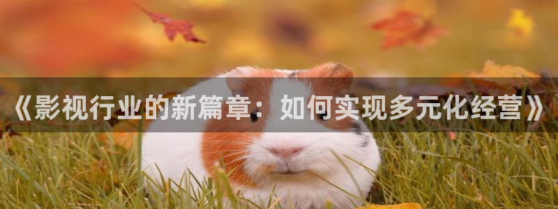 韩国影视推荐：《影视行业的新篇章：如何实现多元化经营》