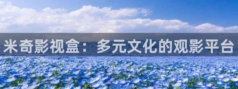 成人韩国影视：米奇影视盒：多元文化的观影平台